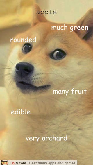 according-to-doge-game