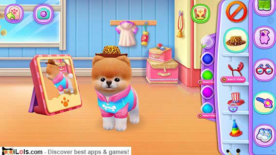 boo-worlds-cutest-dog-game-iphone
