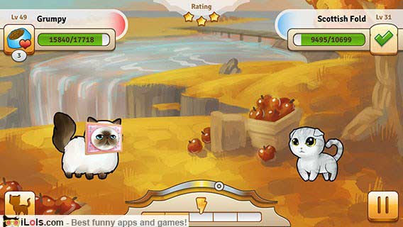 bread-kittens-game