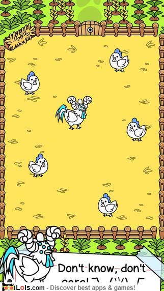 chicken-evolution-game