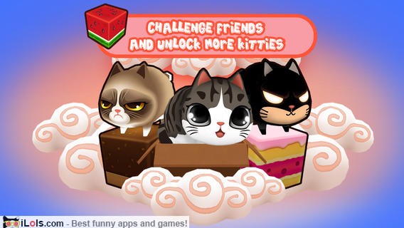 kitty-in-box-game