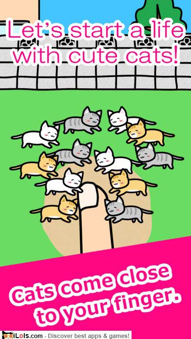 play-with-cats-game