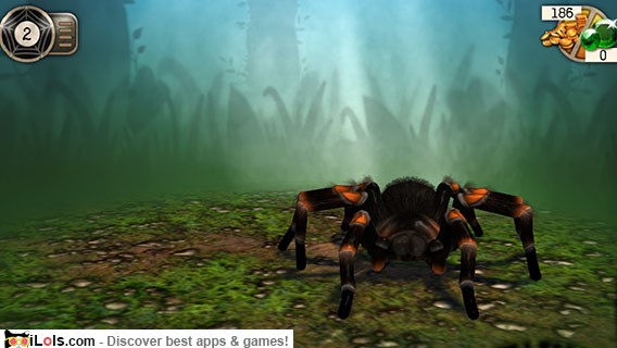real-scary-spiders-game-iphone
