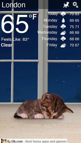 weather-kitty-app